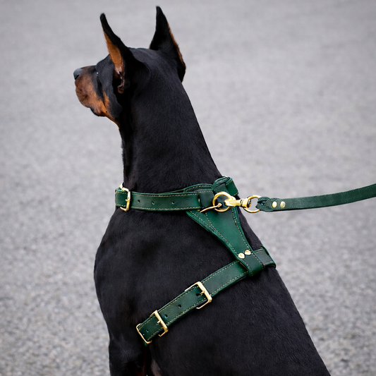 TGinger Classic · Full-Grain Leather Harness — Minimal Edition