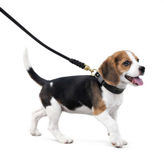 TGinger Classic · Suede-Finish Leather Leash