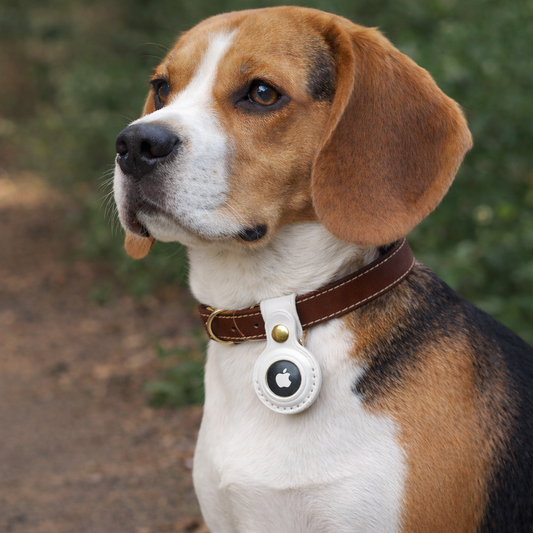 TGinger Classic · Leather AirTag Holder for Dogs
