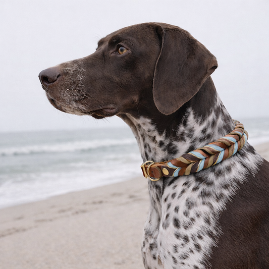 TGinger Woven · Leather-Weave Rope Leash