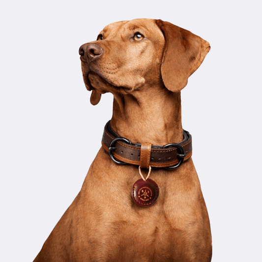 TGinger Heritage · Calf Leather AirTag Holder — Core