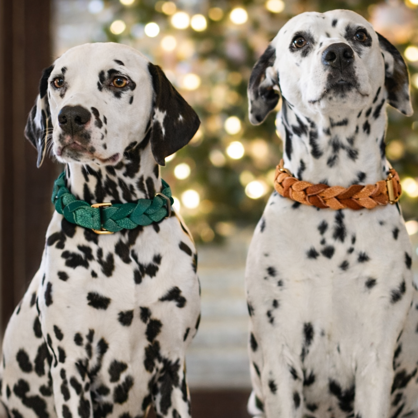 TGinger Classic · Leather-Woven Collar & Leash Set