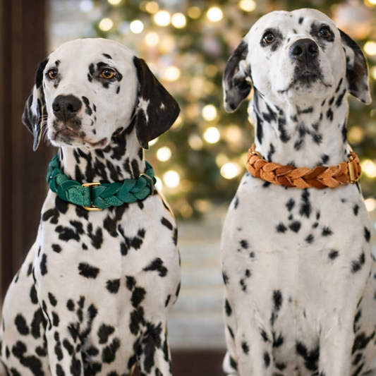 TGinger Classic · Leather-Woven Collar & Leash Set