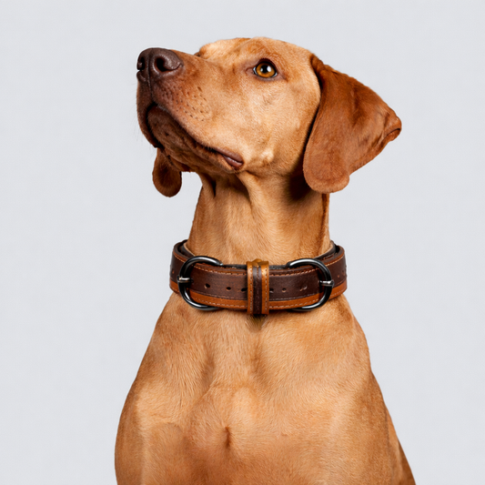 TGinger Heritage · Calf Leather Collar — Deep Brown