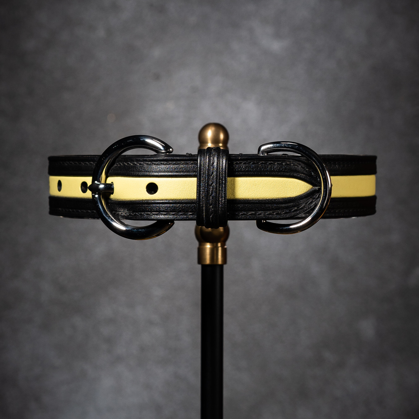 TGinger Heritage · Calf Leather Collar — Signal