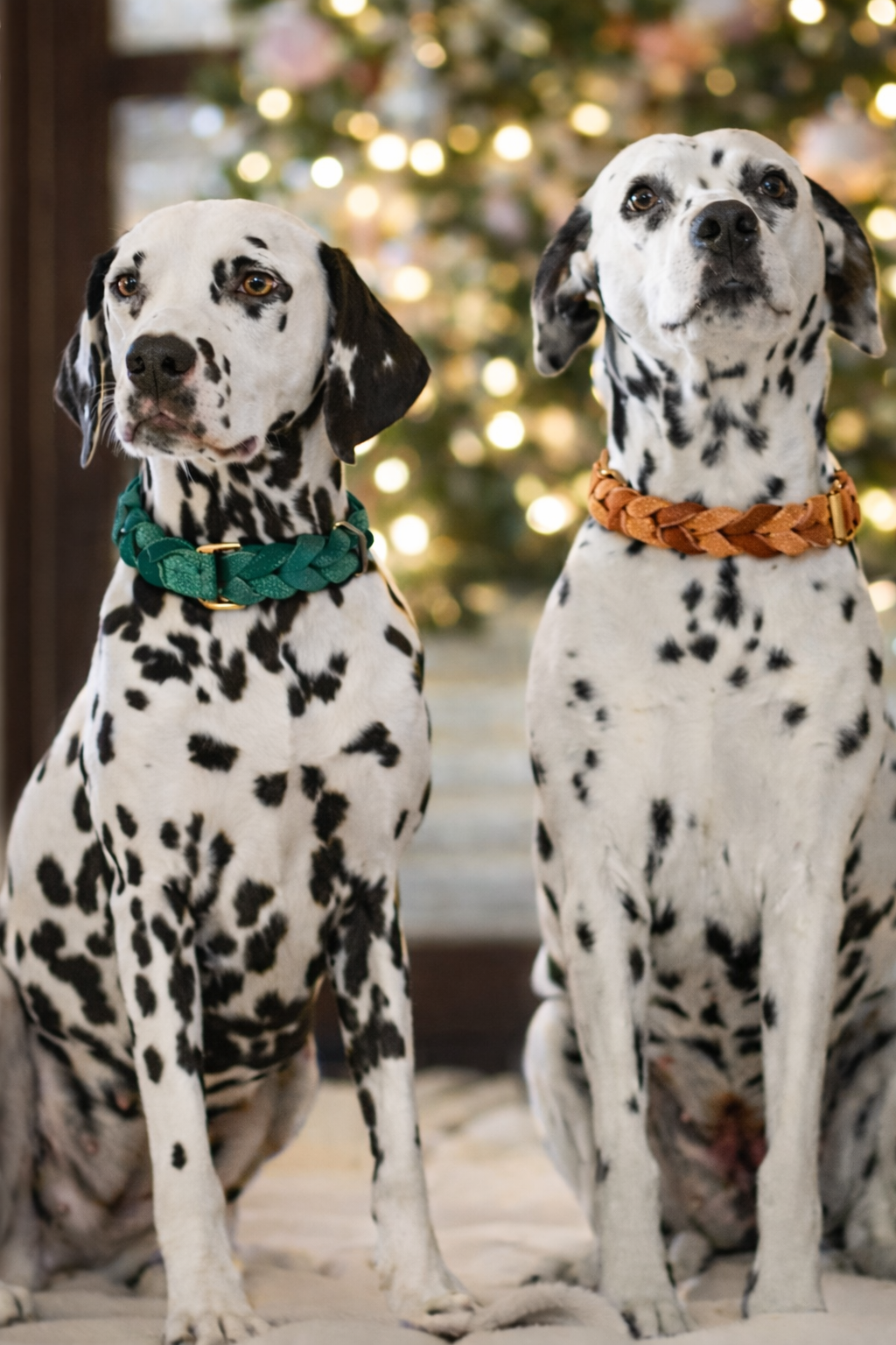 TGinger Handmade Leather-Woven Collar & Leash Set — Four Colors