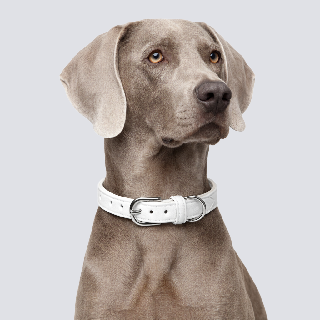 TGinger Heritage · Deerskin Collar — Polar Silk