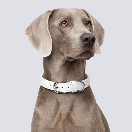 TGinger Heritage · Deerskin Collar — Polar Silk