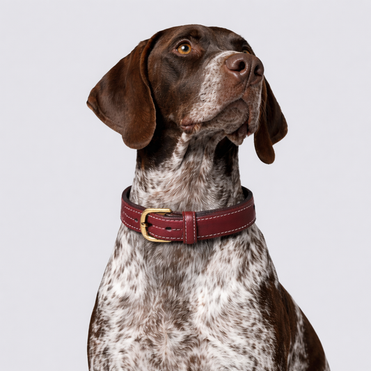 TGinger Heritage · Calf Leather Collar — Wine Brown