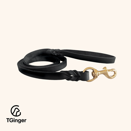 TGinger Classic · Suede-Finish Leather Leash