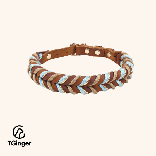 TGinger Woven · Leather-Weave Rope Leash