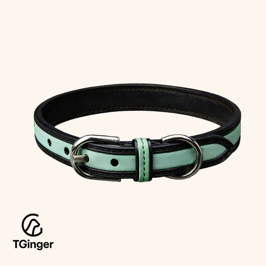 TGinger Heritage · Calf Leather Collar — Arctic Mint