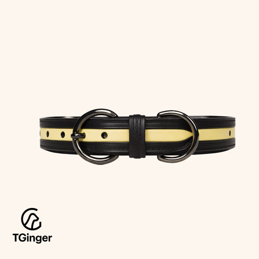 TGinger Heritage · Calf Leather Collar — Signal