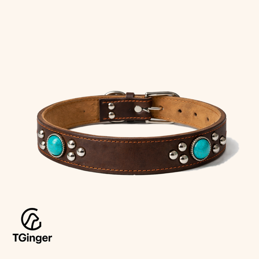 TGinger Classic · Leather Studded Collar — Dark Brown
