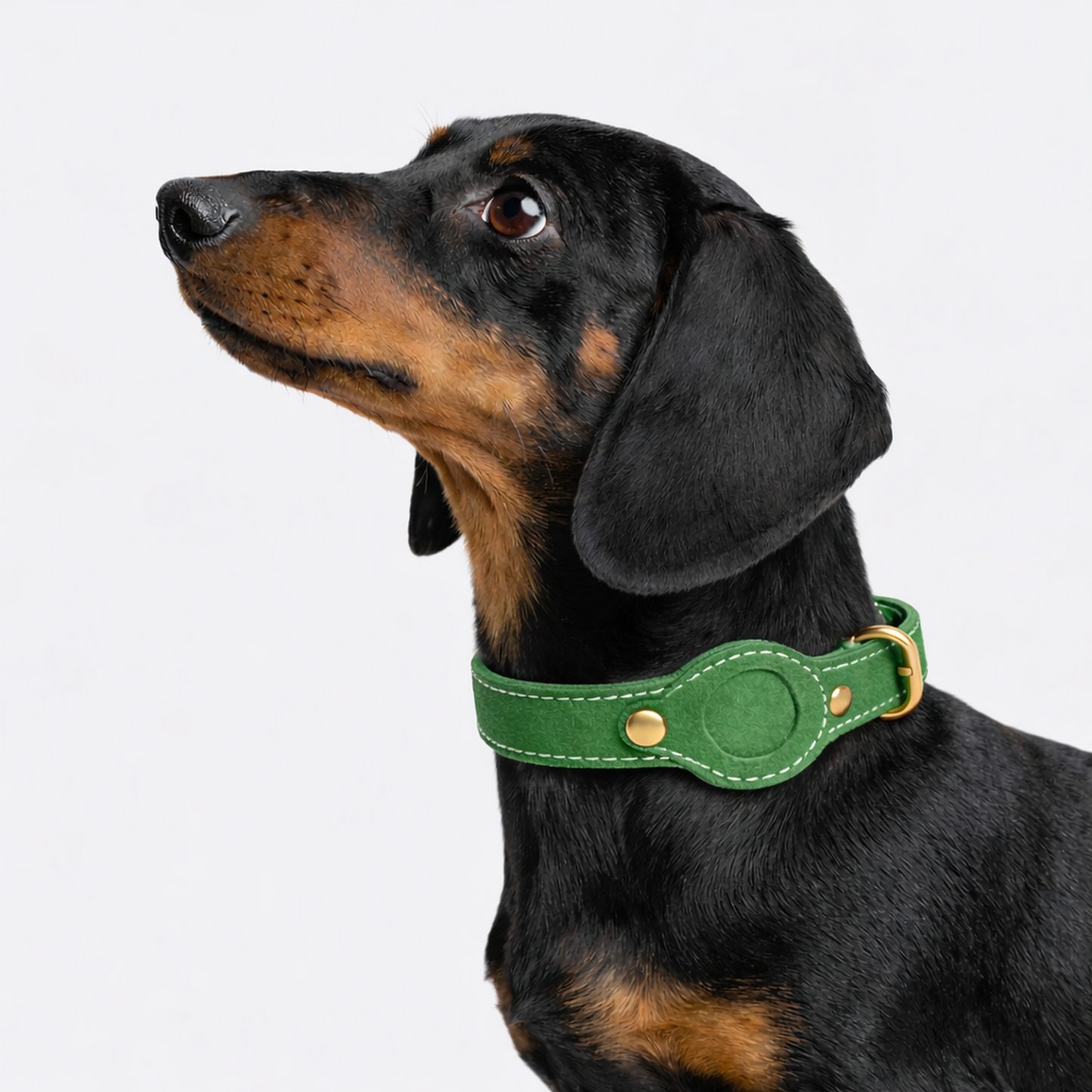 TGinger Classic · Leather AirTag Collar
