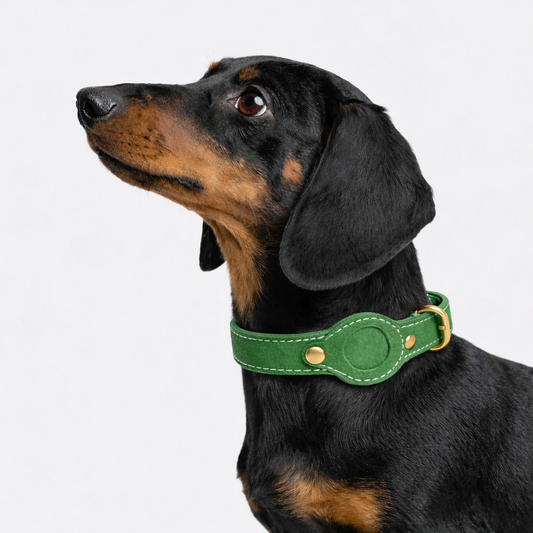 TGinger Classic · Leather AirTag Collar