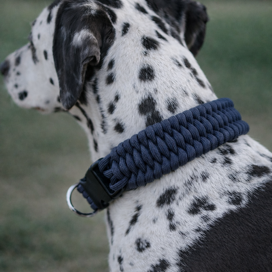 TGinger Woven · Paracord Collar — Outdoor Edition