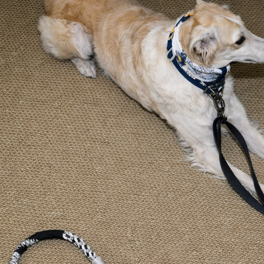 TGinger Woven · Smoke Gray Rope Leash